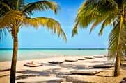 Seeking Travel Companion! Mexico! 1