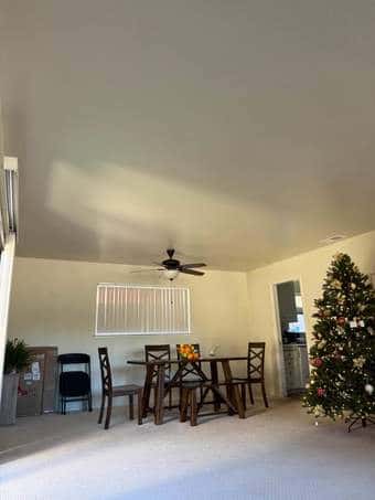 Sun-Drenched Master Suite in Menlo Park - Private Bath! 2