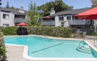 BIG TWO ROOMS AVAILABLE & WALK-IN CLOSET. IN MOUNTAIN VIEW. 3