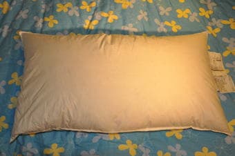 never used ikea down pillow $5 2