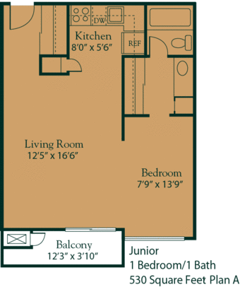 $1000, 3 weeks beautiful mountain view studio for sublet 3