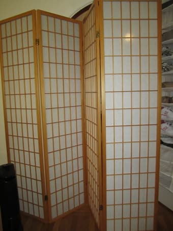 Room Divider/Shoji Screen-- Perfect for studios! $20 1