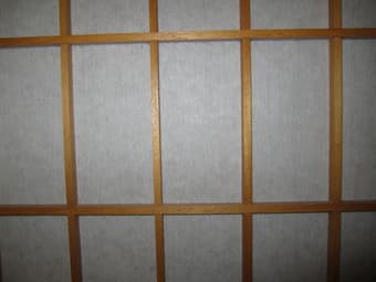 Room Divider/Shoji Screen-- Perfect for studios! $20 3