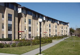 Summer Sublet (6/23 - 9/13) Lyman 1-BR, FULLY Renovated & Furnished 1