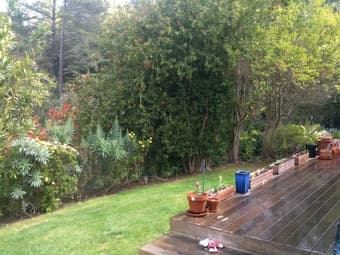 1 Bedroom Available June 15th or Before Close to Stanford Girls Only 3