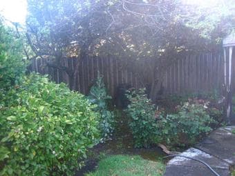 3 bed 3 bath house for rent in Menlo Park, Bike to campus 2
