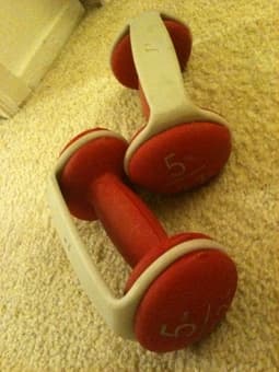 Pair of 5 lb hand weights - $15 1