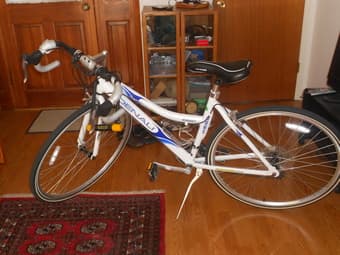 almost new GMC Denali Women's Road Bike plus U lock 1