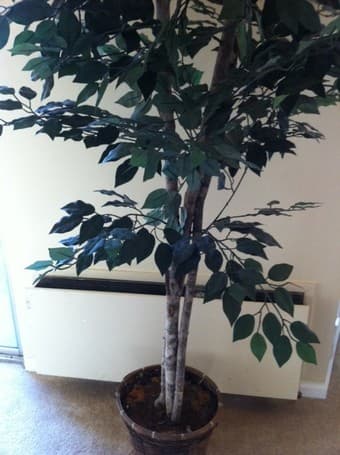 Fake Tree 2