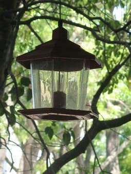 Bird Feeder and Hummingbird feeder $5 each 1