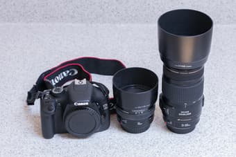 Canon 550D/Rebel T2i [$490] + 50mm 1.4 + 70-300mm f/4-5.6 Lenses 3