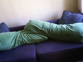Couch sit for the summer 1
