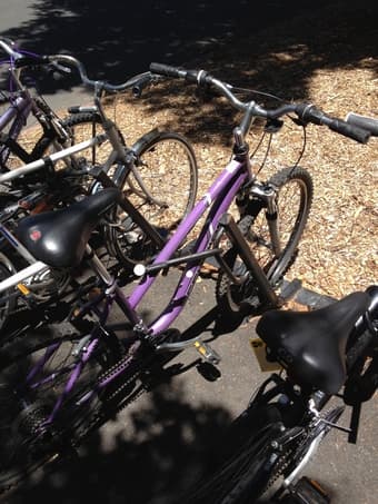 7 MONTH OLD SCHWINN HYBRID BIKE, $80 OBO 1