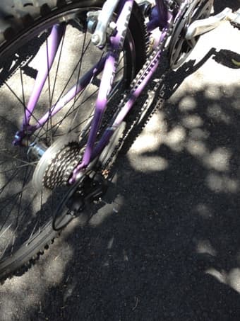 7 MONTH OLD SCHWINN HYBRID BIKE, $80 OBO 3