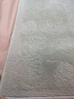 Green Karastan rug 2