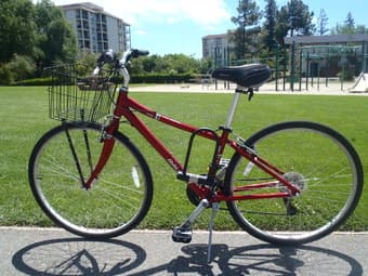 Raleigh Detour 17" 2011 - $300 1