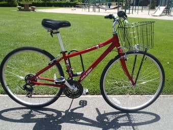 Raleigh Detour 17" 2011 - $300 2