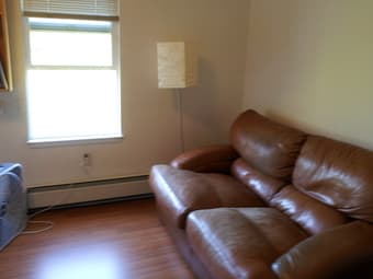 Loveseat and/or Couch 1