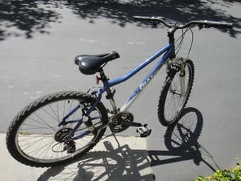 Giant mountain bike with U-lock ($90) 2