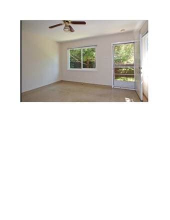 Cute Cottage in Westside of Redwood City for Rent $1400 3