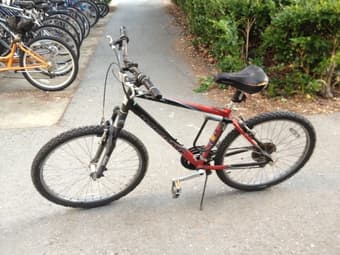 bicycle ($40) 1
