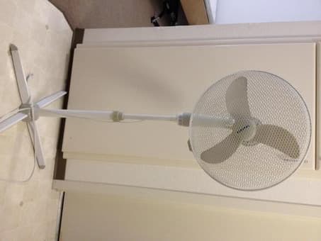 fan ($10) 1