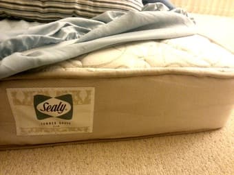 Sealy Summer Grove Twin Mattress - $129 1