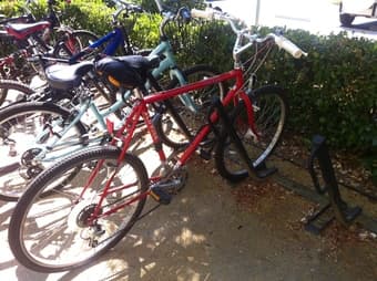 Schwinn Sierra good price 1