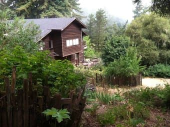 Fall Quarter Sublet - $1350 - 20min from Stanford in Redwoods w trails 1