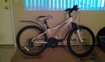 WOMEN'S RALEIGH BIKE FOR SALE - $200 1