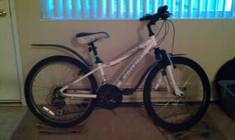 WOMEN'S RALEIGH BIKE FOR SALE - $200 1