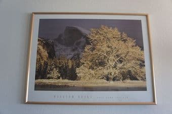 Wall Paintings / Art / Decor - $9 each 1