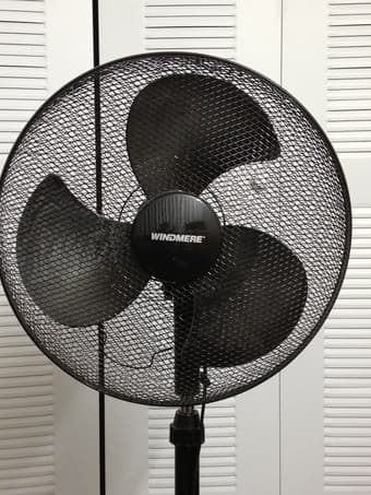 Lightly used Oscillating Pedestal fan for sale by graduating student 1