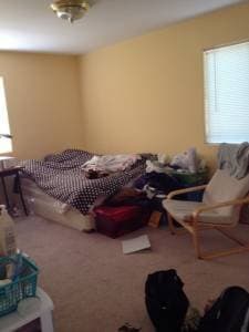 $820 / 170ft² - Female roommate for large room in 4BR house, 1 3