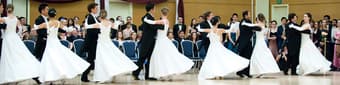 Viennese Ball Opening Committee: Auditions on Saturday 1