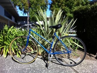 Schwinn roadbike for sale - $50 1
