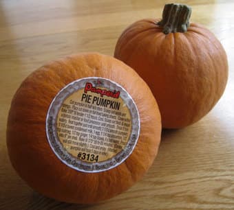 Small Pumpkins 1