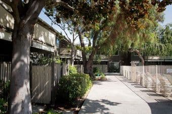 Roommate wanted for 2bd/2ba apartment in Mountain View 1
