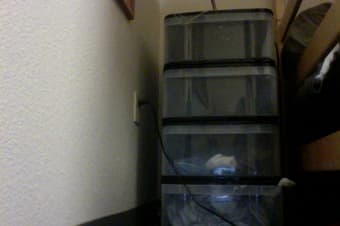 Plastic Drawers for Sale $7 each 1