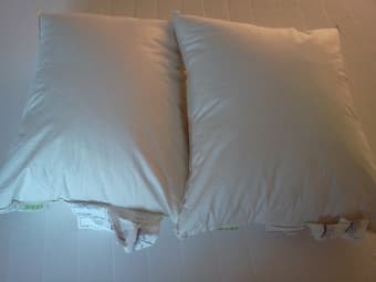 2 Gosa pinje pillows + 4 pillows at $25 or OBO 1