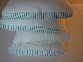 2 Gosa pinje pillows + 4 pillows at $25 or OBO 2