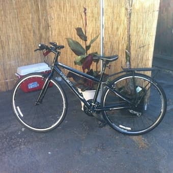 Woman´s Bike TREK 7.1- as new 1