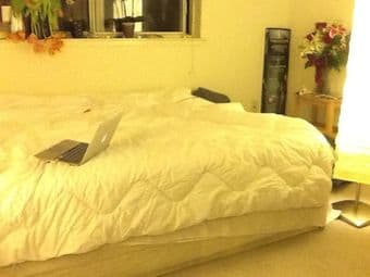 Room available 14th January (min 6 months) (Palo Alto) 3