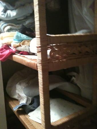 bookshelf 1