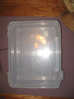 plastic storage bins 2