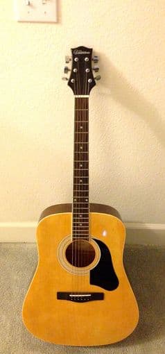 Silvertone Acoutsic Guitar 1