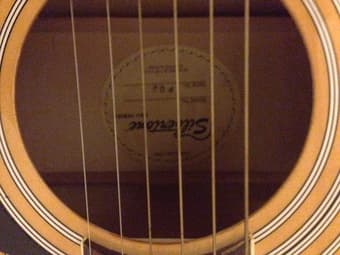 Silvertone Acoutsic Guitar 3