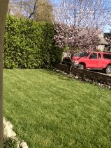 master room available now(NEARBY STANFORD) 2