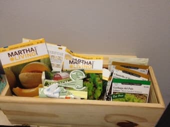 Organic Seeds 1