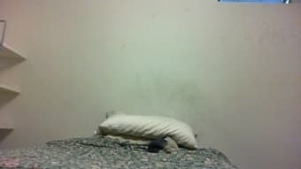 $700\month, (Available Now) in Hippie House, Downtown Palo Alto 2